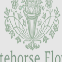 whitehorseflowers