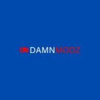 Damnmodz11