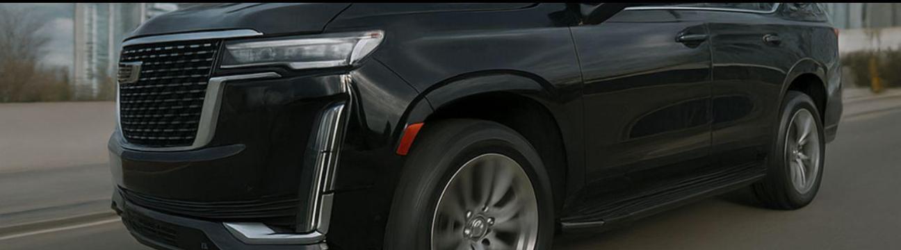 vviptorontolimo
