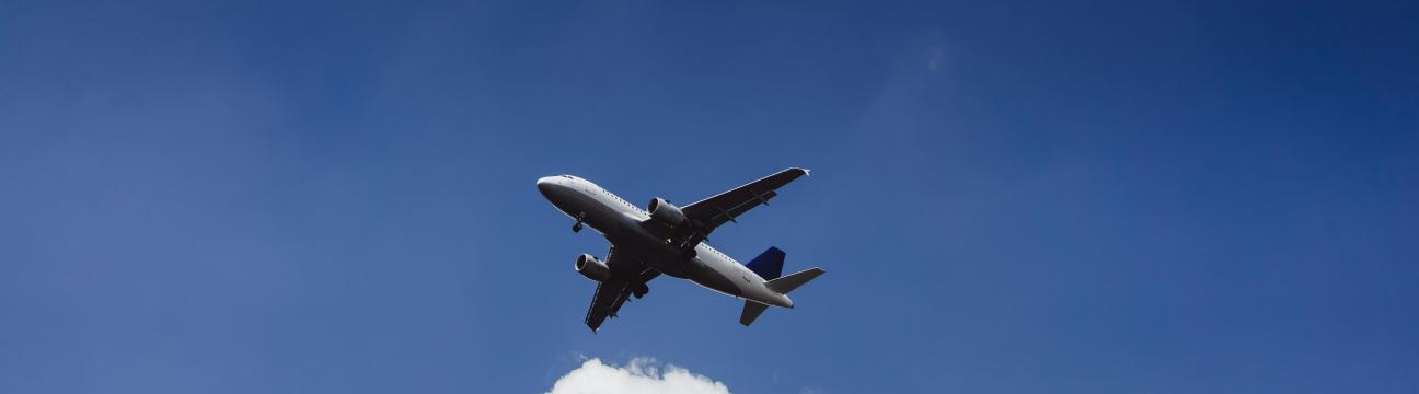 aerofly_ticket