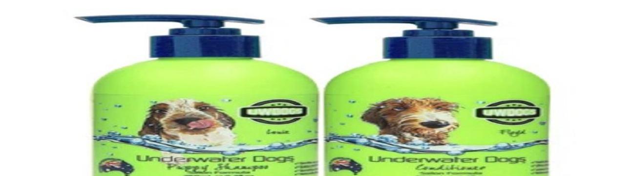 uwdogs
