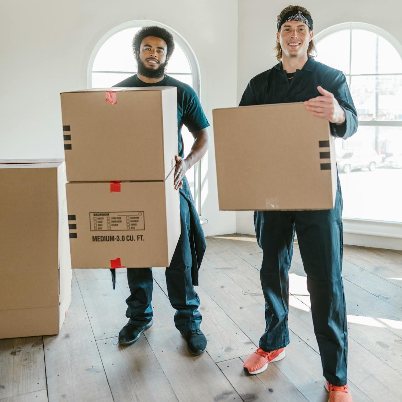 dynamicremovals