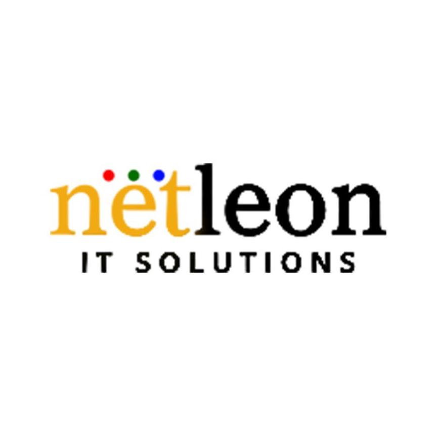 netleonitsolutions